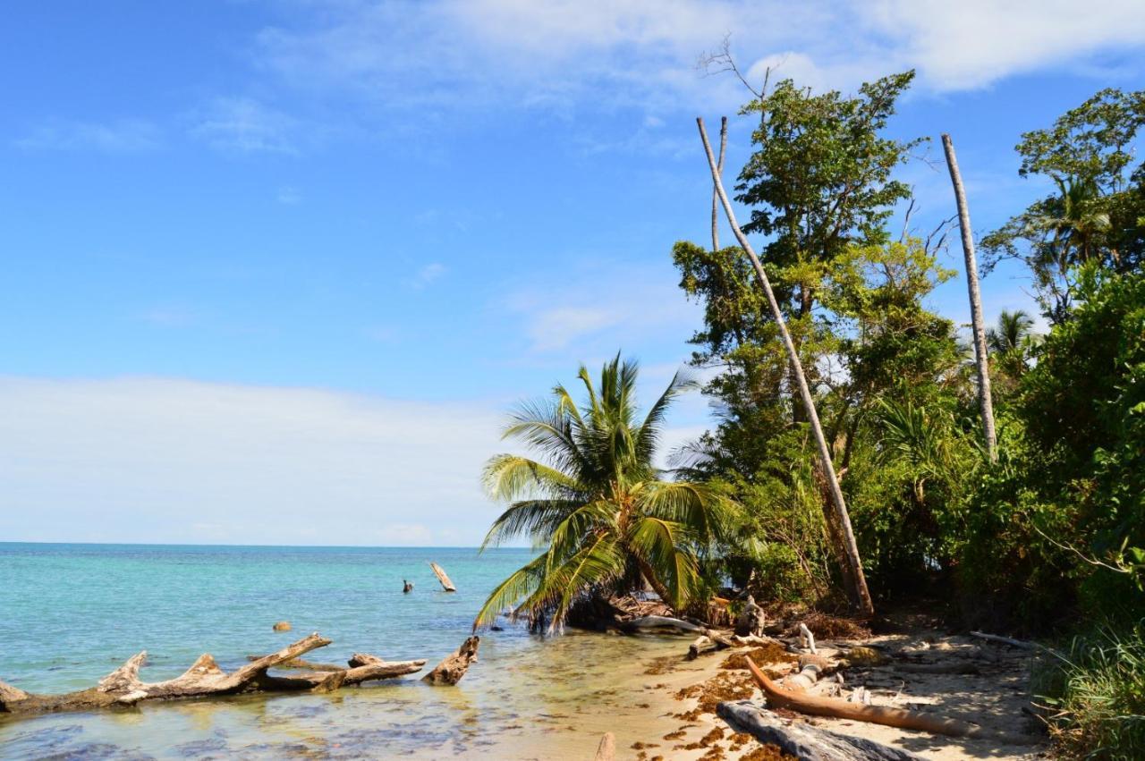 La Ruka Hostel Puerto Viejo de Talamanca Экстерьер фото