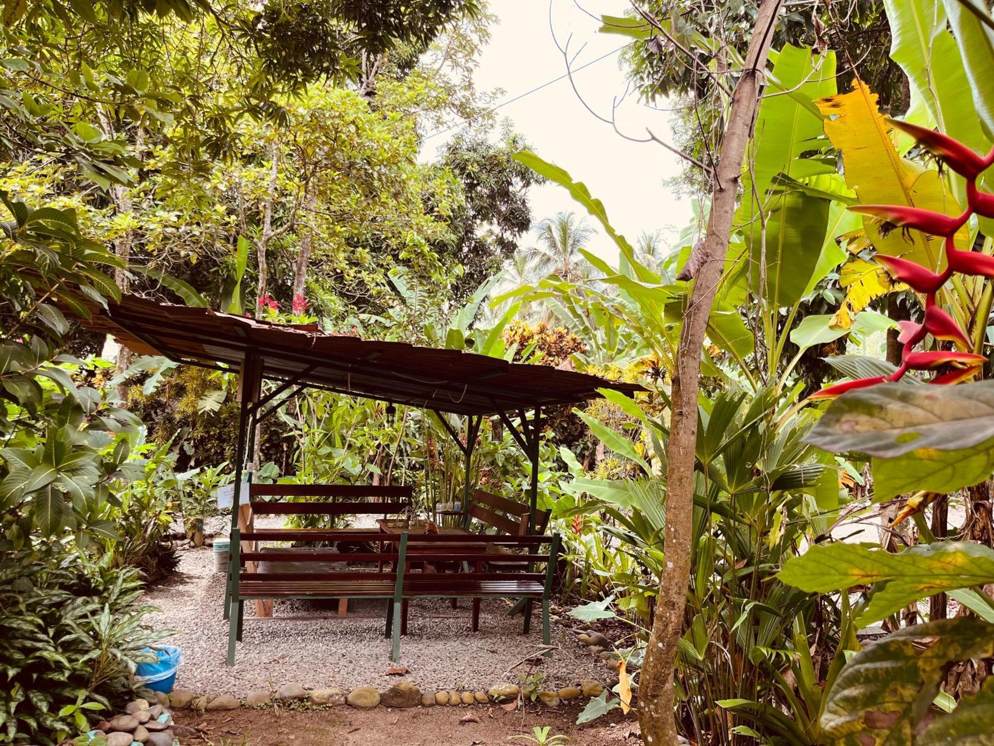 La Ruka Hostel Puerto Viejo de Talamanca Экстерьер фото