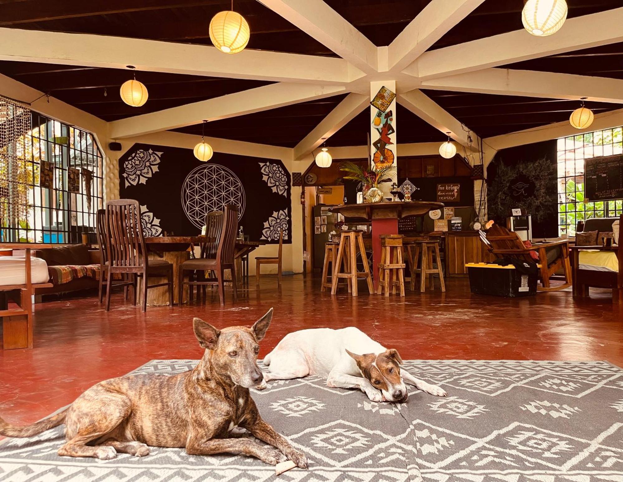 La Ruka Hostel Puerto Viejo de Talamanca Экстерьер фото