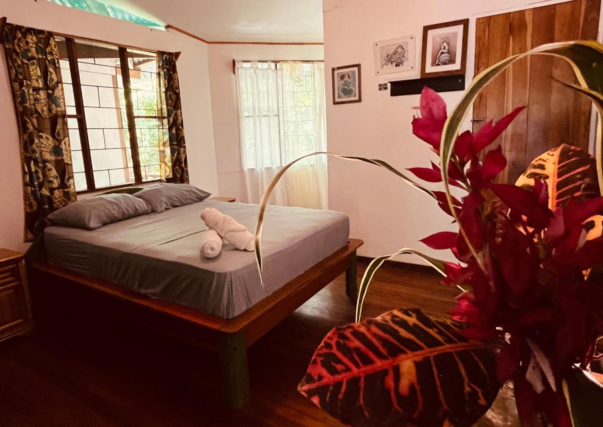 La Ruka Hostel Puerto Viejo de Talamanca Экстерьер фото